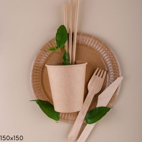 Disposable Cutlery Products