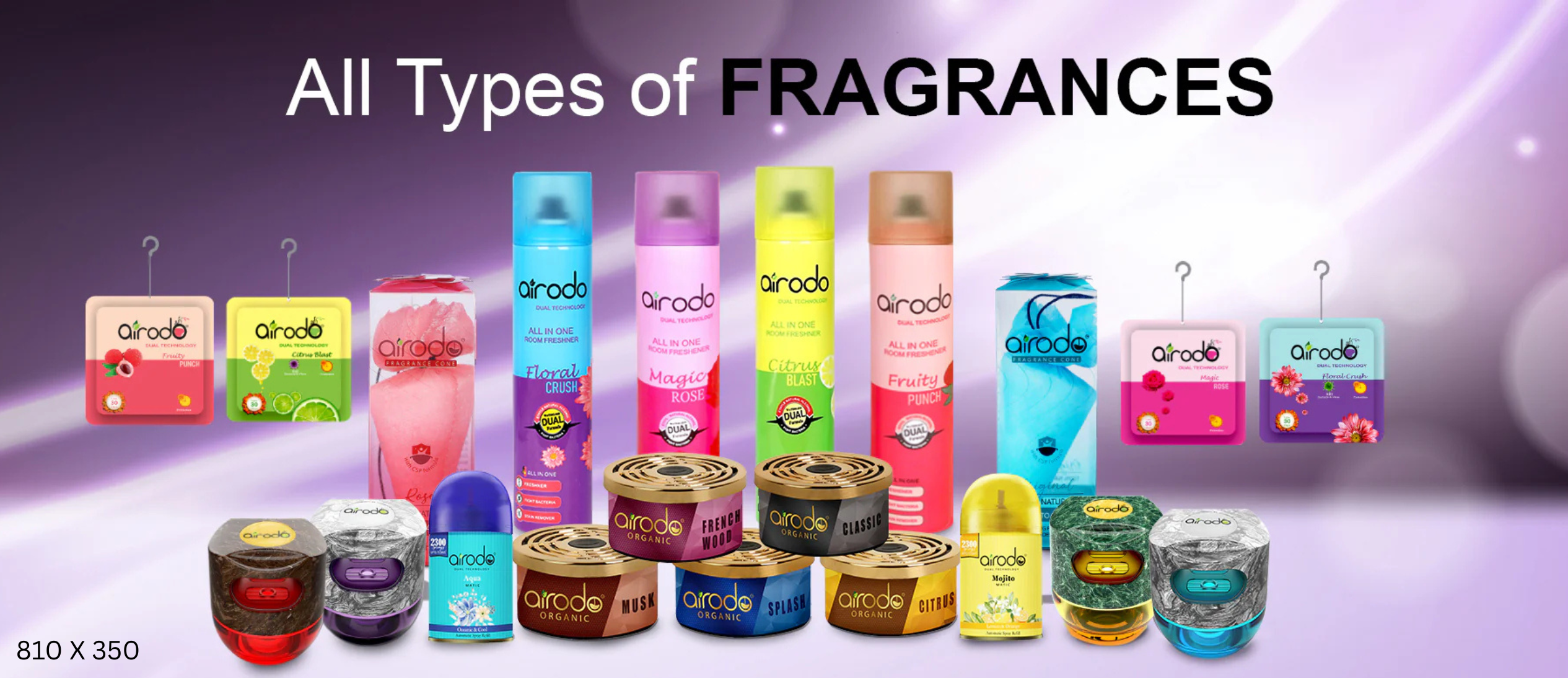 fattytrain.com promo